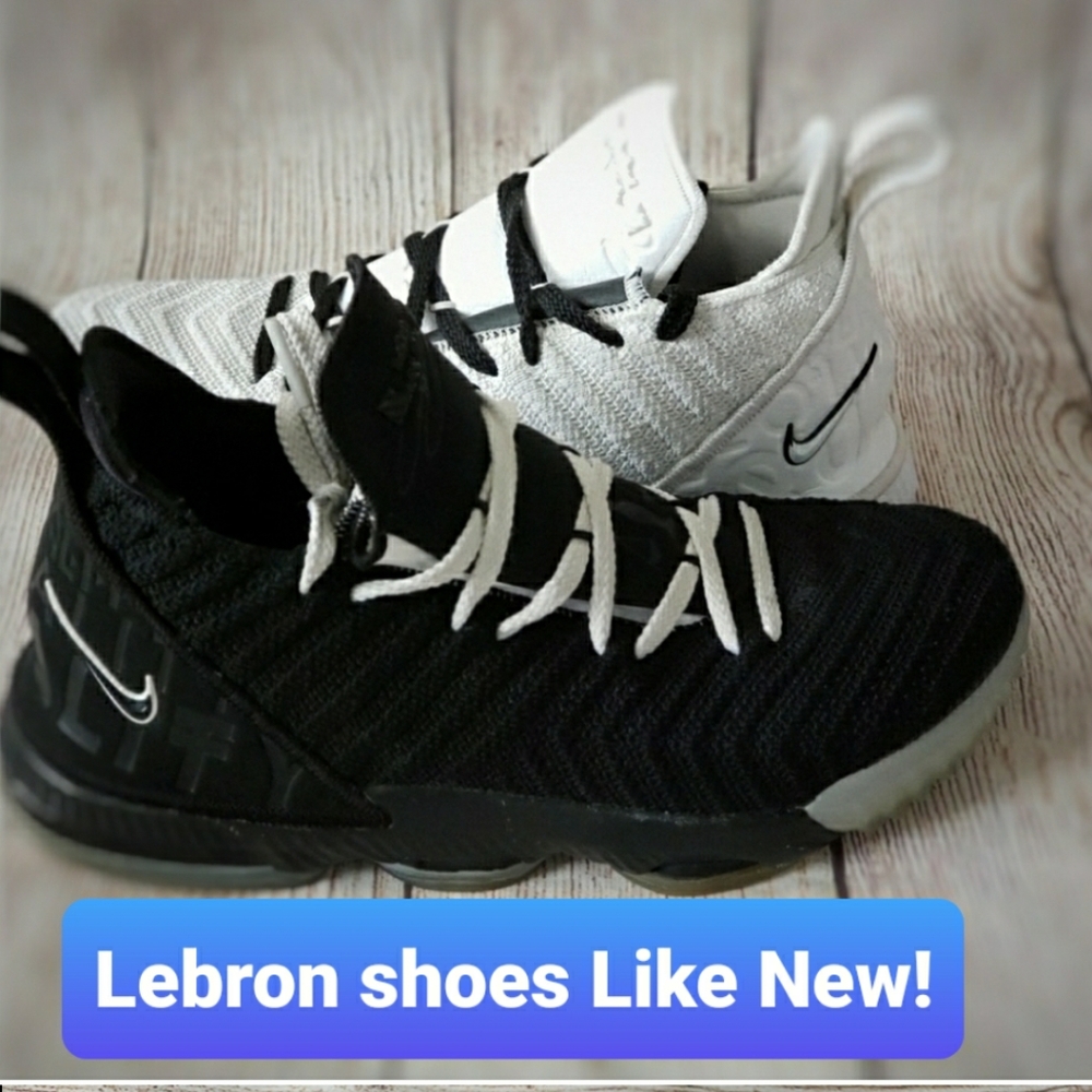 Nike Lebron 16  Equality